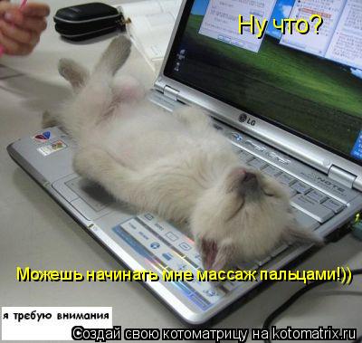 Котоматрица: Ну что? Можешь начинать мне массаж пальцами!))