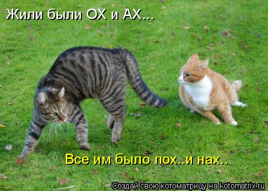 Жили были ОХ и АХ... Все им было пох..и нах..... Котоматрица: Жили были ОХ и АХ... Все им было пох..и нах..