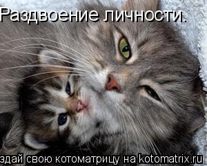 Котоматрица: Раздвоение личности.