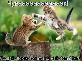Котоматрица: Чуваааааааааааак!