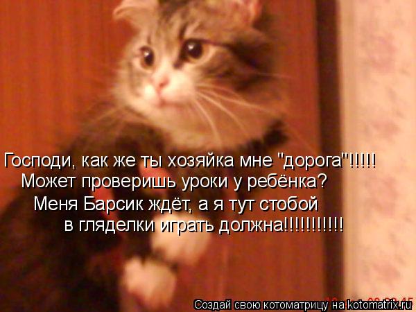 Котоматрица: Господи, как же ты хозяйка мне "дорога"!!!!! Может проверишь уроки у ребёнка? Меня Барсик ждёт, а я тут стобой Меня Барсик ждёт, а я тут стобой в 