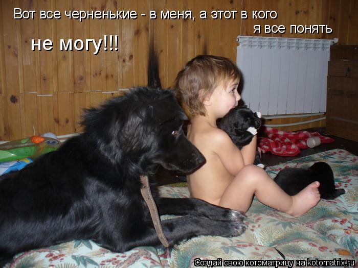 не могу!!! Вот все черненькие - в меня, а этот в кого я все понять... Котоматрица: не могу!!! Вот все черненькие - в меня, а этот в кого я все понять