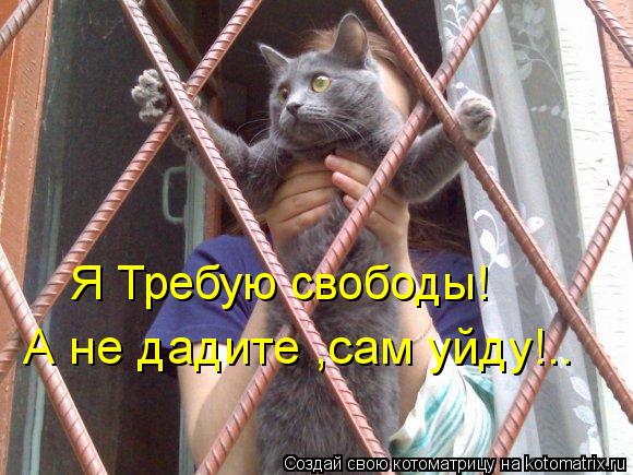 Я Требую свободы! А не дадите ,сам уйду!..... Котоматрица: Я Требую свободы! А не дадите ,сам уйду!..