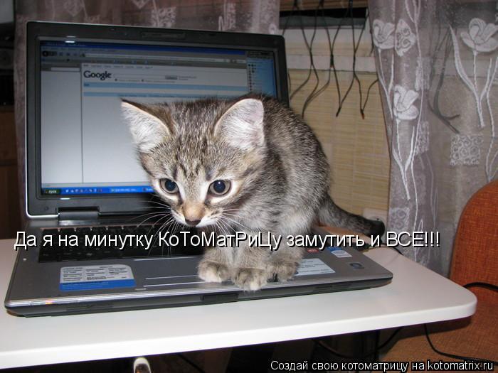 Котоматрица: Да я на минутку КоТоМатРиЦу замутить и ВСЕ!!!