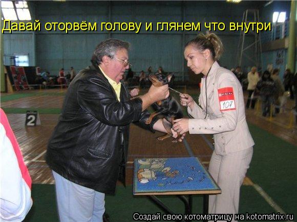 Давай оторвём голову и глянем что внутри... Котоматрица: Давай оторвём голову и глянем что внутри