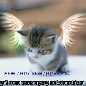 А мне, летать, а мне летать-охота...... Котоматрица: А мне, летать, а мне летать-охота...