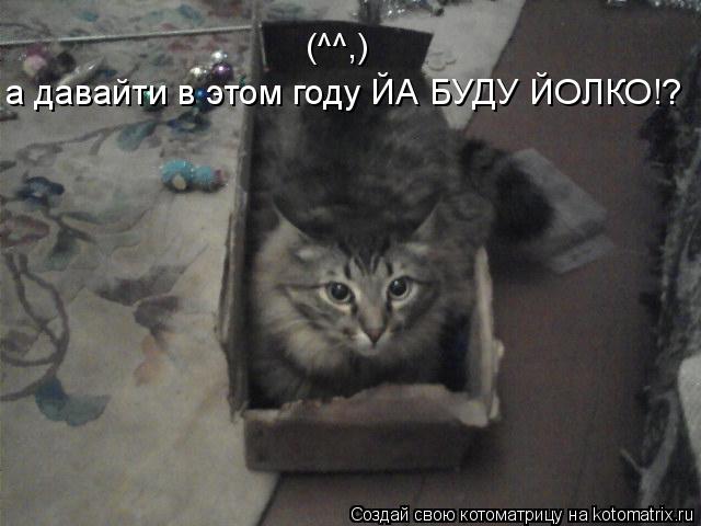 Котоматрица: а давайти в этом году ЙА БУДУ ЙОЛКО!? (^^,)