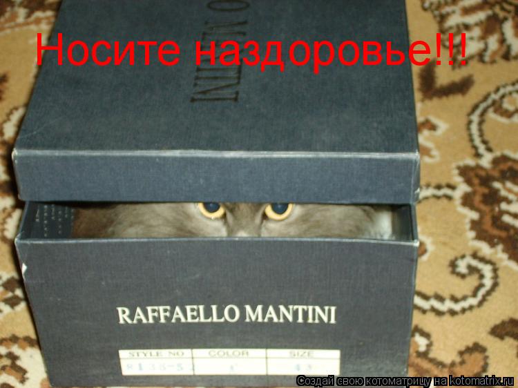 Котоматрица: Носите наздоровье!!!