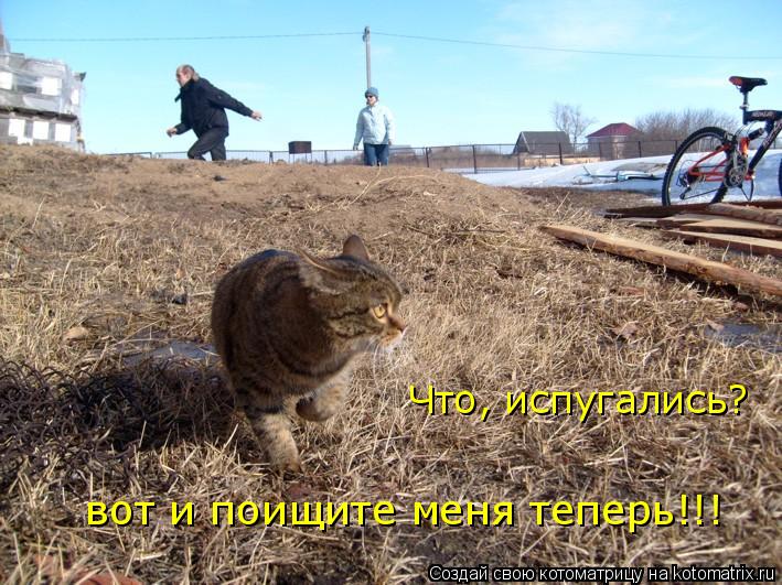 Котоматрица: Что, испугались? вот и поищите меня теперь!!!