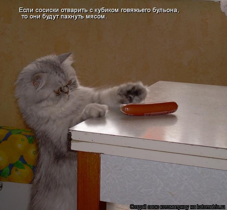 Котоматрица: Если сосиски отварить с кубиком говяжьего бульона,   то они будут пахнуть мясом.