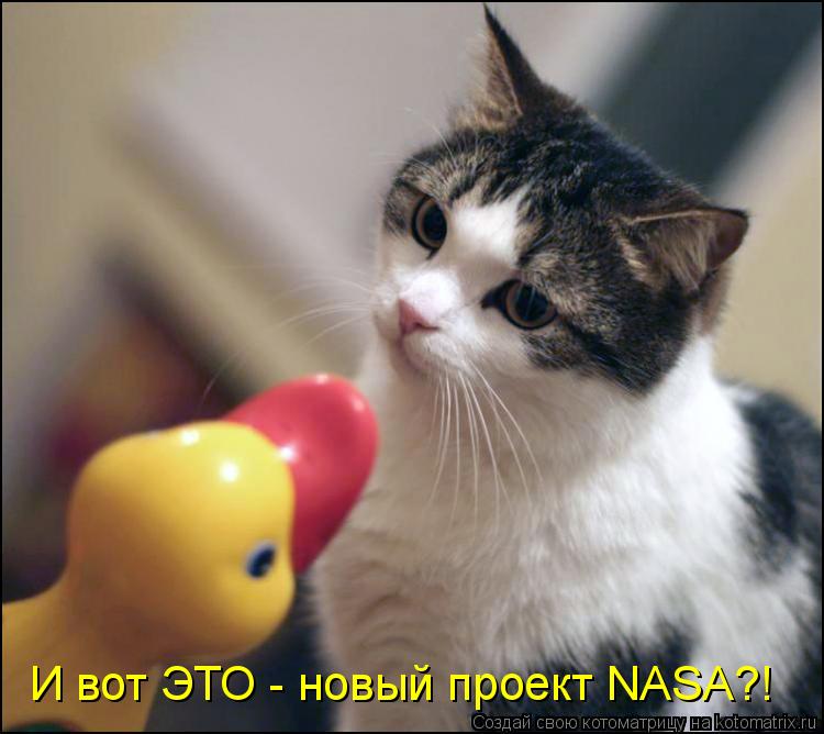 И вот ЭТО - новый проект NASA?!... Котоматрица: И вот ЭТО - новый проект NASA?!