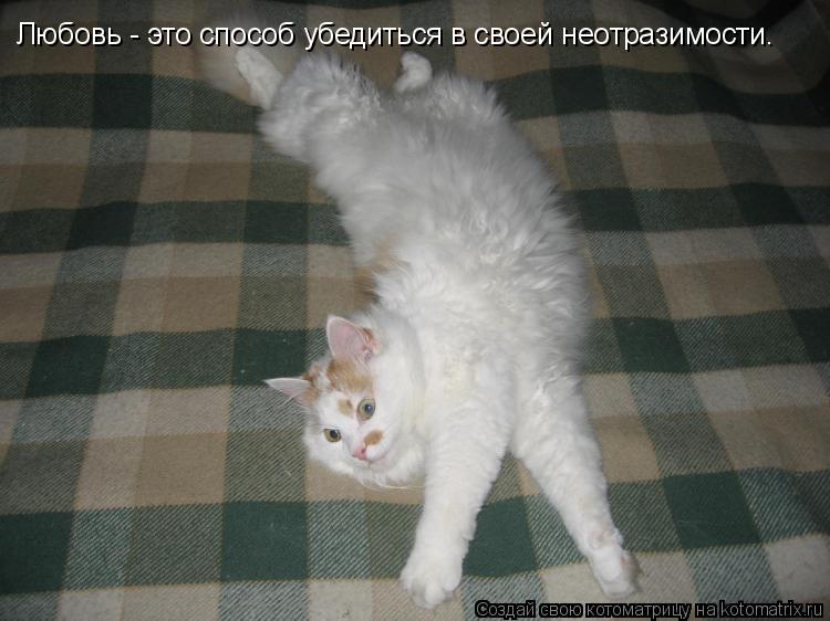Котоматрица: Любовь - это способ убедиться в своей неотразимости.