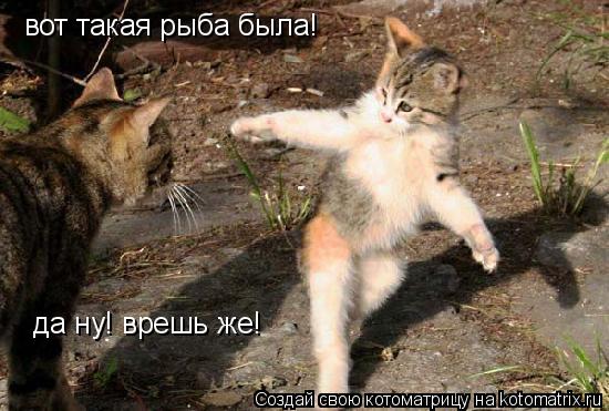 вот такая рыба была! да ну! врешь же!... Котоматрица: вот такая рыба была! да ну! врешь же!