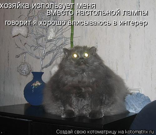 хозяйка использует меня вместо настольной лампы говорит я хорошо вписываюсь в интерер... Котоматрица: хозяйка использует меня вместо настольной лампы говорит я хорошо вписываюсь в интерер