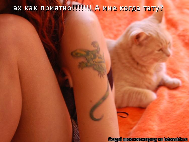 ах как приятно!!!!!!! А мне когда тату?... Котоматрица: ах как приятно!!!!!!! А мне когда тату?