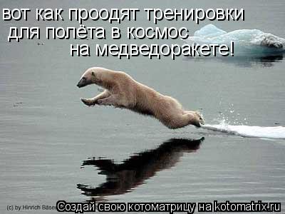 вот как проодят тренировки для полёта в космос на медведоракете!... Котоматрица: вот как проодят тренировки для полёта в космос на медведоракете!