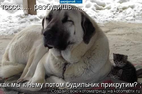 Котоматрица: тсссс...... разбудишь...... как мы к нему потом будильник прикрутим? ;)