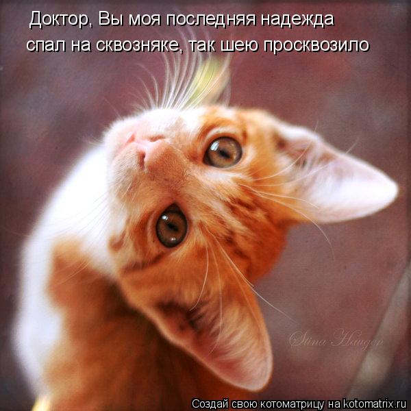 Котоматрица: Доктор, Вы моя последняя надежда спал на сквозняке, так шею просквозило