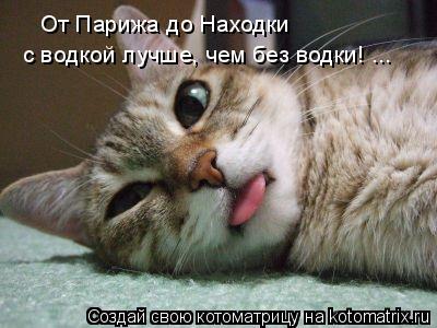 Котоматрица: От Парижа до Находки  с водкой лучше, чем без водки! ...