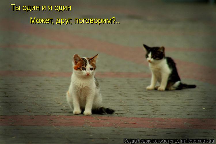 Котоматрица: Ты один и я один Может, друг, поговорим?..