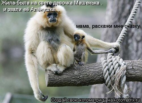 мама, раскажи мне сказку Жила-была на свете девочка Машенька . и звали её Алёнушка...... Котоматрица: мама, раскажи мне сказку Жила-была на свете девочка Машенька . и звали её Алёнушка...