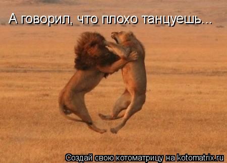 Котоматрица: А говорил, что плохо танцуешь...