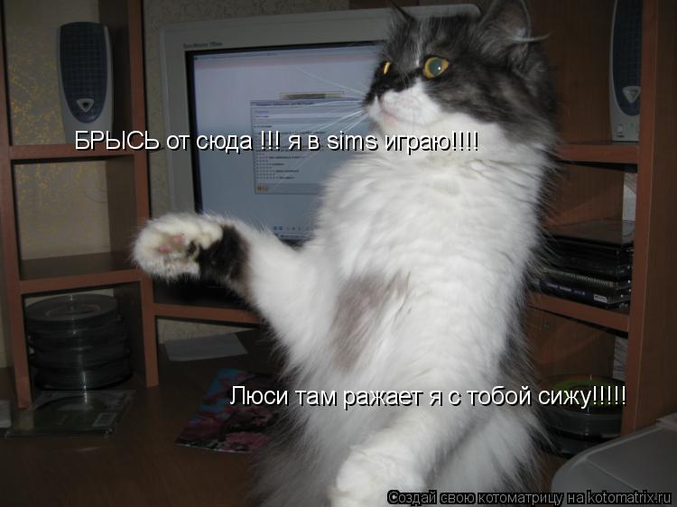 Котоматрица: БРЫСЬ от сюда !!! я в sims играю!!!!  Люси там ражает я с тобой сижу!!!!!
