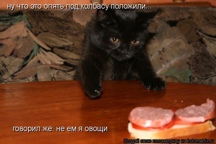 ну что это опять под колбасу положили ... говорил же: не ем я овощи... Котоматрица: ну что это опять под колбасу положили ... говорил же: не ем я овощи