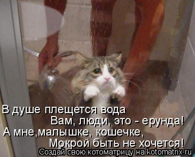 В душе плещется вода Вам, люди, это - ерунда! A мне,малышке, кошечке, Мокрой быть не хочется!... Котоматрица: В душе плещется вода Вам, люди, это - ерунда! A мне,малышке, кошечке, Мокрой быть не хочется!