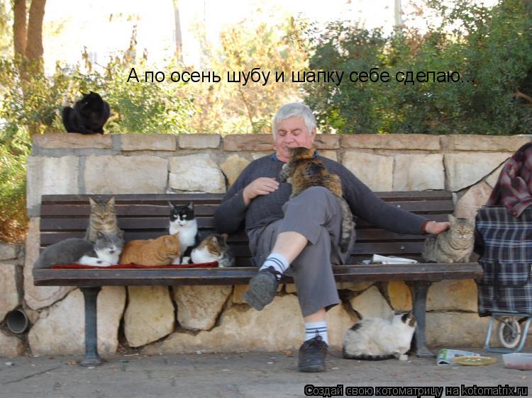 Котоматрица: А по осень шубу и шапку себе сделаю...