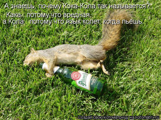 А знаешь, почему Кока-Кола так называется? Кака — потому что вредная, а Кола — потому что язык ко... Котоматрица: А знаешь, почему Кока-Кола так называется? Кака — потому что вредная, а Кола — потому что язык колет, когда пьёшь.