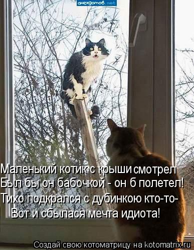 Маленький котик с крыши смотрел Был бы он бабочкой - он б полетел! Тихо подкрался с дубинкою кто-то-... Котоматрица: Маленький котик с крыши смотрел Был бы он бабочкой - он б полетел! Тихо подкрался с дубинкою кто-то- Вот и сбылася мечта идиота!