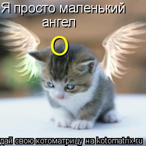 Я просто маленький ангел О... Котоматрица: Я просто маленький ангел О