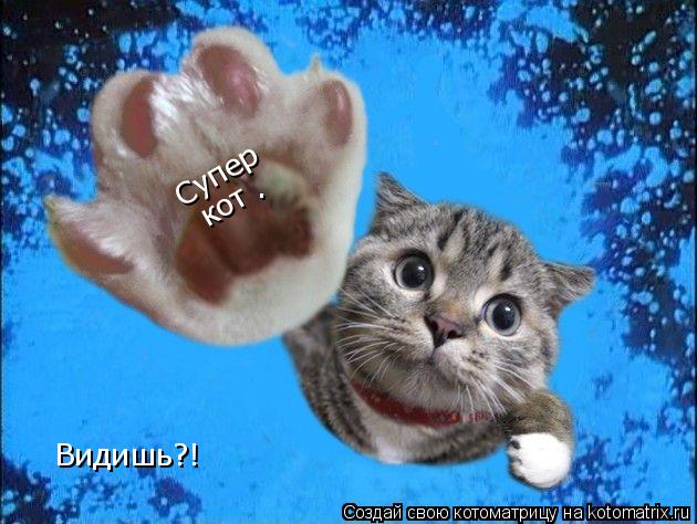 Супер кот . Видишь?!... Котоматрица: Супер кот . Видишь?!