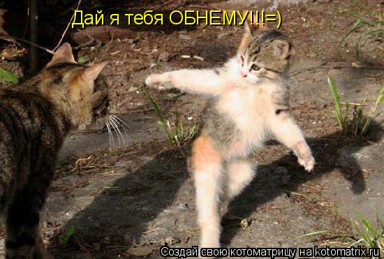 Котоматрица: Дай я тебя ОБНЕМУ!!!=)