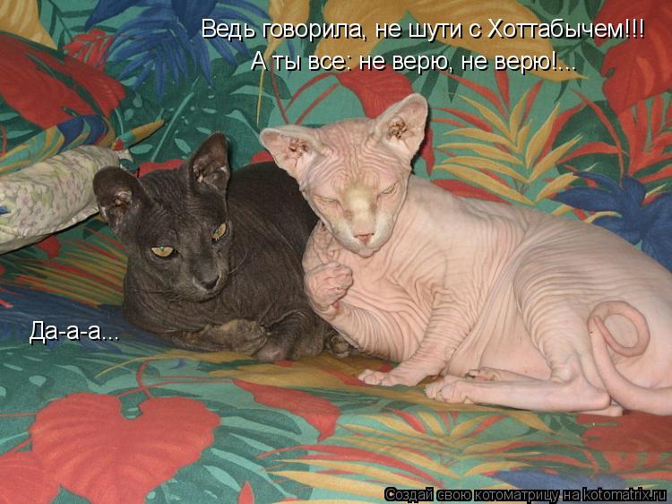 Котоматрица: Ведь говорила, не шути с Хоттабычем!!! А ты все: не верю, не верю!... Да-а-а...