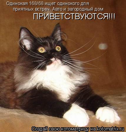 Котоматрица: Одинокая 168/68 ищет одинокого для приятных встреч. Авто и загородный дом ПРИВЕТСТВУЮТСЯ!!!