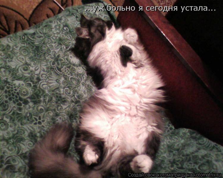 ...уж больно я сегодня устала...... Котоматрица: ...уж больно я сегодня устала...