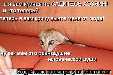а я вам кричал не САДИТЕСЬ ХОЗЯИН! и что теперь? теперь я вам кричу вынте меня от сюда! ну как вам эт... Котоматрица: а я вам кричал не САДИТЕСЬ ХОЗЯИН! и что теперь? теперь я вам кричу вынте меня от сюда! ну как вам это равнодушие человеческой души