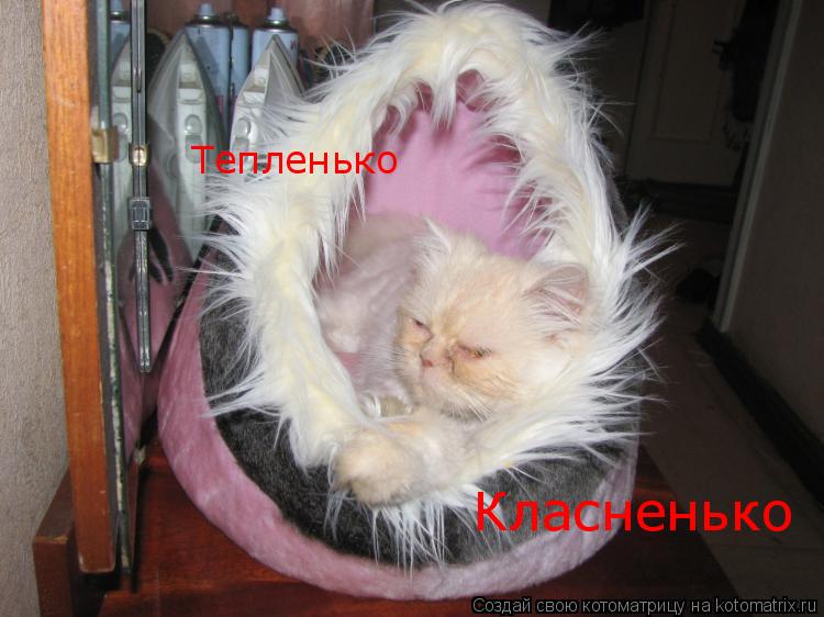 Котоматрица: Мягонько Тепленько Класненько
