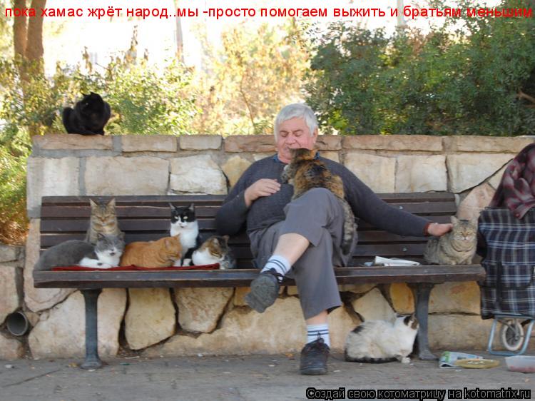 пока хамас жрёт народ..мы -просто помогаем выжить и братьям меньшим!!!!!!!!!!!... Котоматрица: пока хамас жрёт народ..мы -просто помогаем выжить и братьям меньшим!!!!!!!!!!!