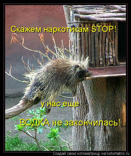 Скажем наркотикам STOP! у нас еще ВОДКА не закончилась!... Котоматрица: Скажем наркотикам STOP! у нас еще ВОДКА не закончилась!