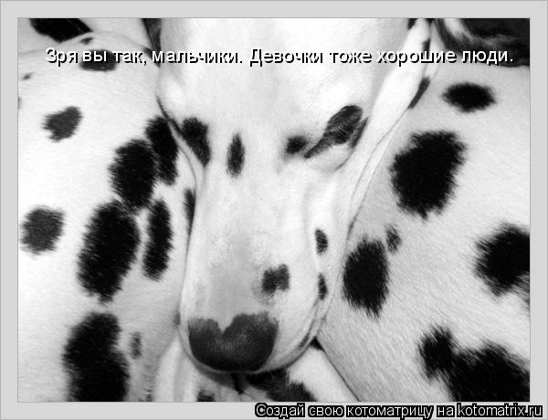 Котоматрица: Зря вы так, мальчики. Девочки тоже хорошие люди.