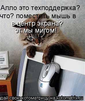 Котоматрица: Алло это техподдержка? что? поместить мышь в в центр экрана? эт мы мигом!