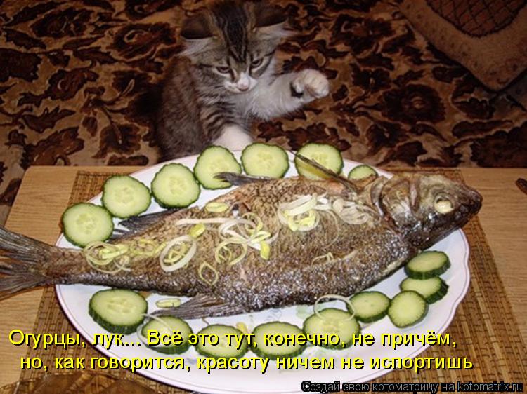 Огурцы, лук... Всё это тут, конечно, не причём, но, как говорится, красоту ничем не испортишь... Котоматрица: Огурцы, лук... Всё это тут, конечно, не причём, но, как говорится, красоту ничем не испортишь