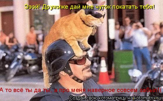 Котоматрица: Эээй! Дружиже дай мне чуток покатать тебя! А то всё ты да ты, а про меня наверное совсем забыл!(