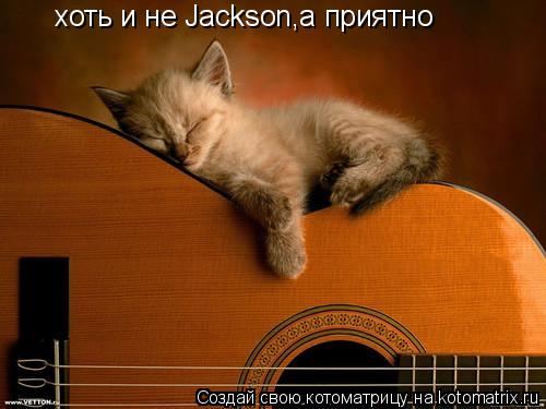 Котоматрица: хоть и не Jackson,а приятно