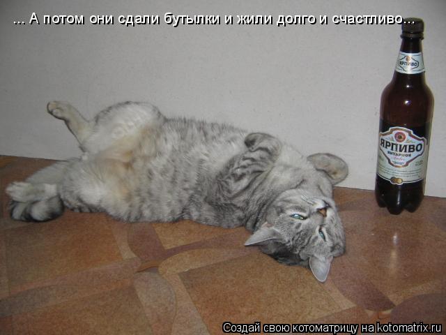 ... А потом они сдали бутылки и жили долго и счастливо...... Котоматрица: ... А потом они сдали бутылки и жили долго и счастливо...