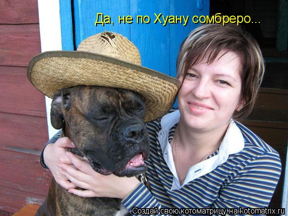Да, не по Хуану сомбреро...... Котоматрица: Да, не по Хуану сомбреро...