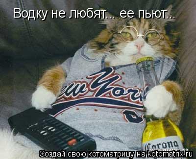 Котоматрица: Водку не любят... ее пьют...